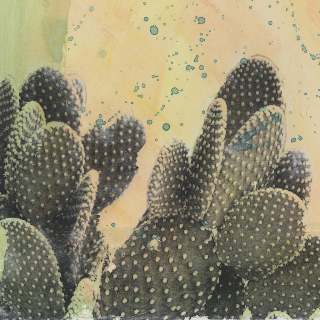 Desert Dreams II by Naomi McCavitt on GIANT ART - coastal & tropical