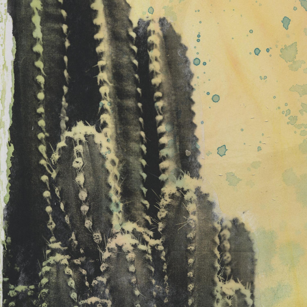 Desert Dreams IV by Naomi McCavitt on GIANT ART - coastal & tropical