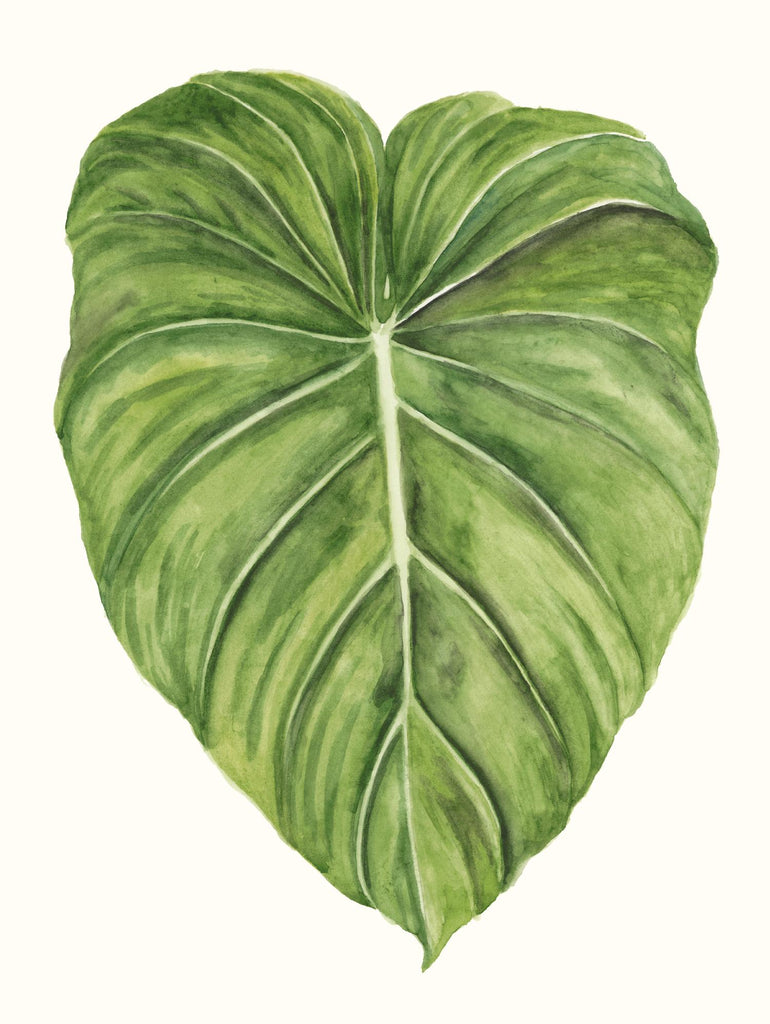 Tropical Breeze Leaves II by Naomi McCavitt on GIANT ART - green coastal & tropical leaves