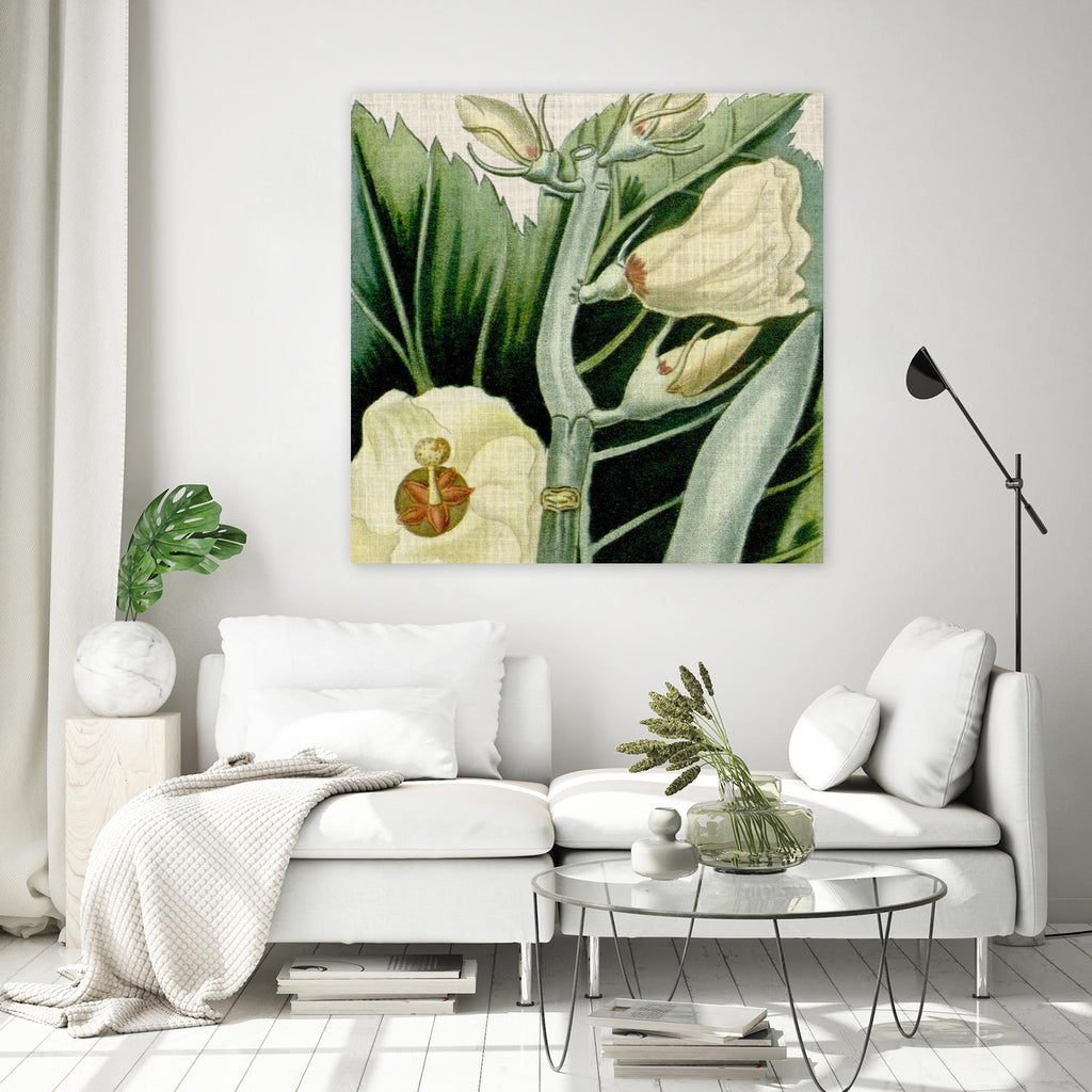 Turpin Tropicals III par Vision Studio sur GIANT ART - botanique et floral