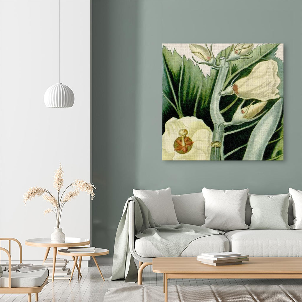 Cropped Turpin Tropicals III by Vision Studio on GIANT ART - botanical & floral