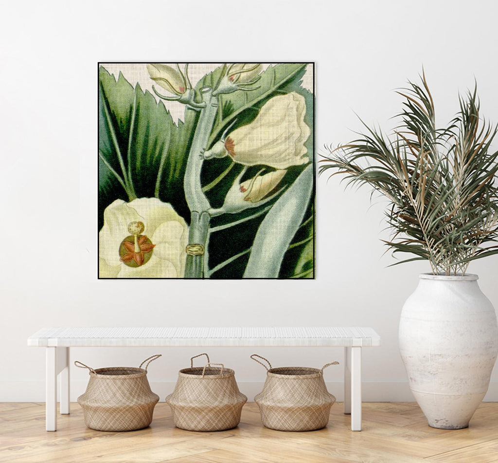 Turpin Tropicals III par Vision Studio sur GIANT ART - botanique et floral