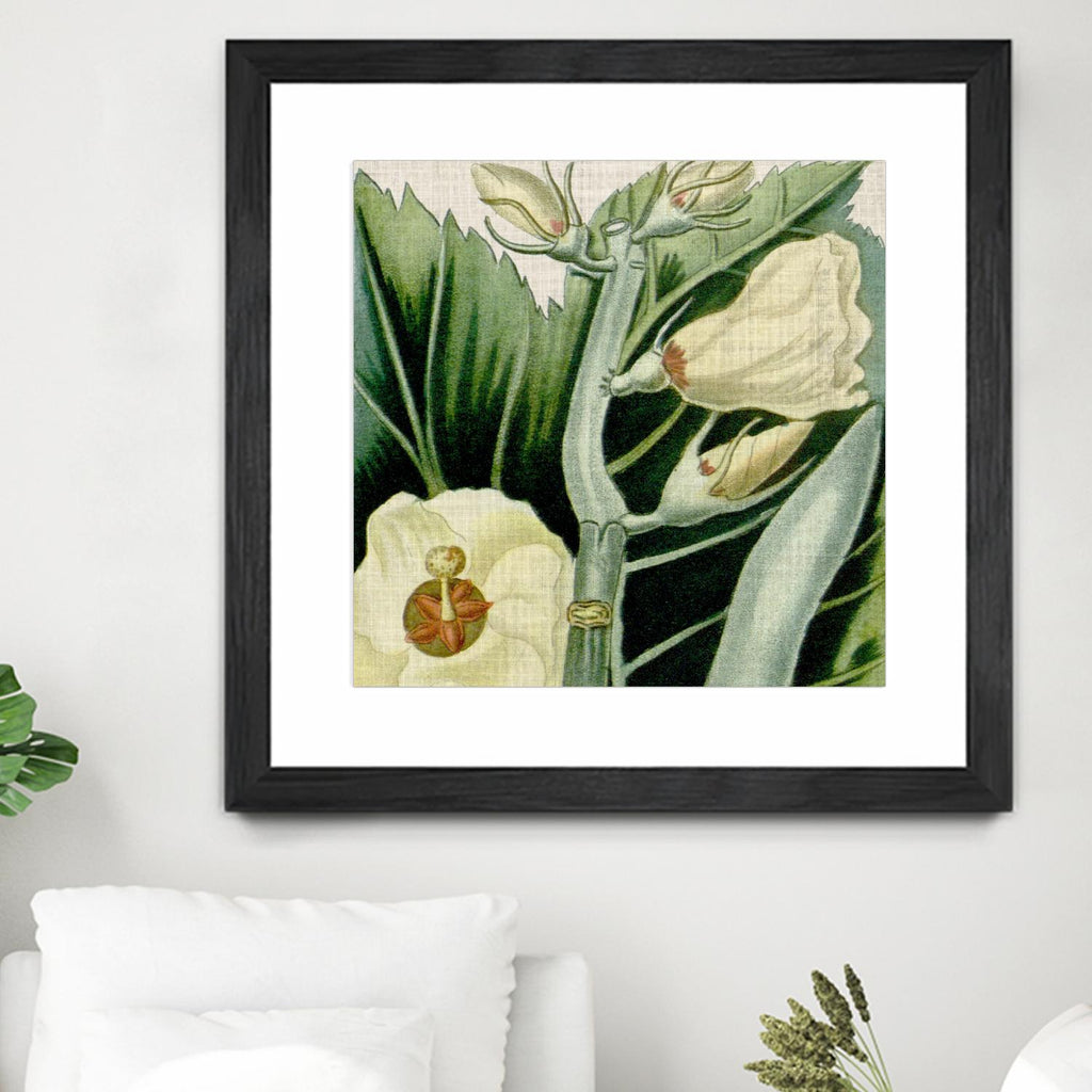 Cropped Turpin Tropicals III by Vision Studio on GIANT ART - botanical & floral