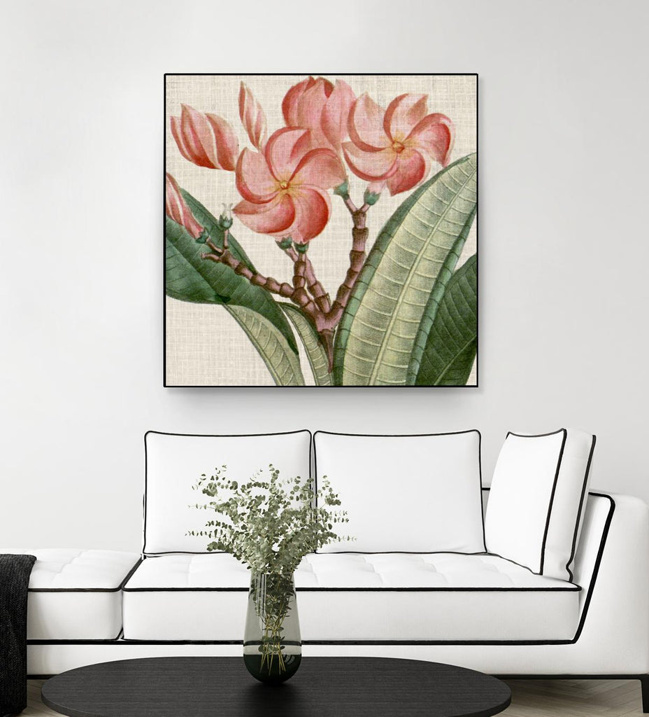 Turpin Tropicals VII recadré par Vision Studio sur GIANT ART - rose botanique et floral nature