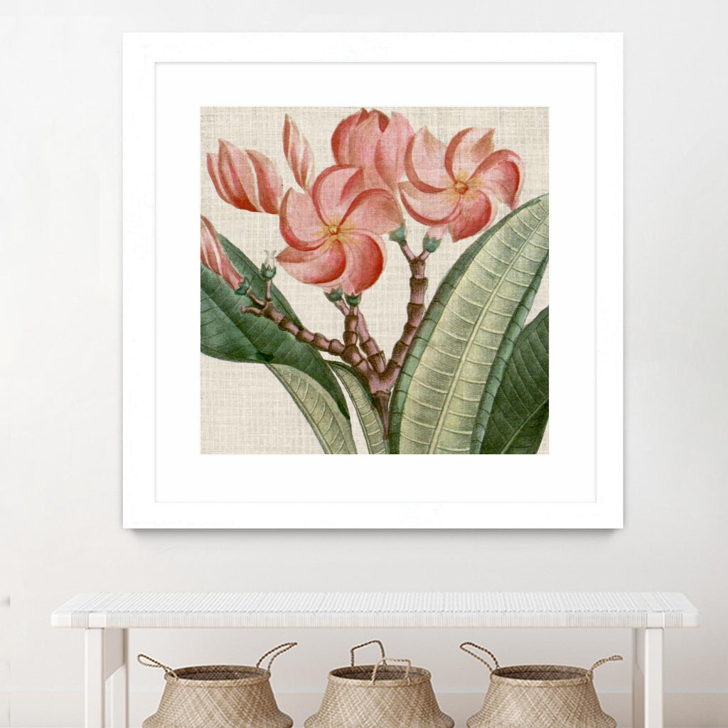 Cropped Turpin Tropicals VII by Vision Studio on GIANT ART - pink botanical & floral nature