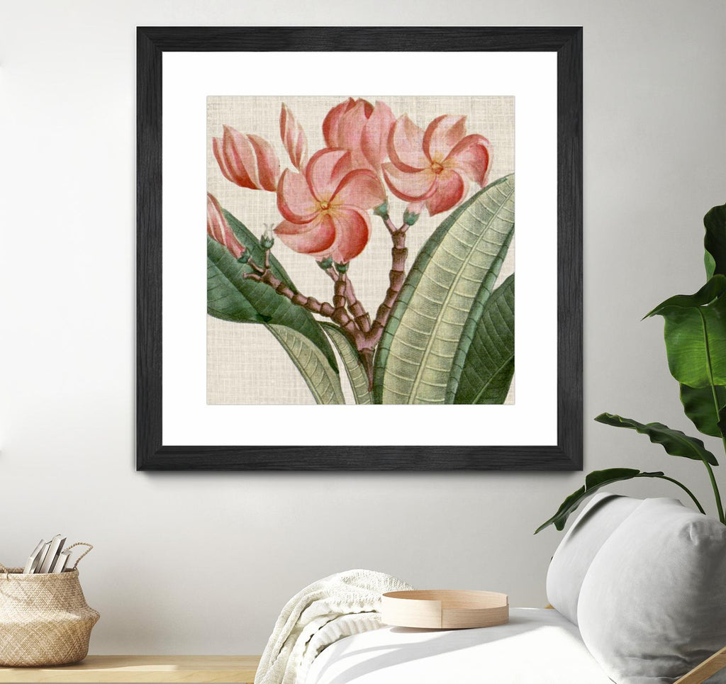Cropped Turpin Tropicals VII by Vision Studio on GIANT ART - pink botanical & floral nature
