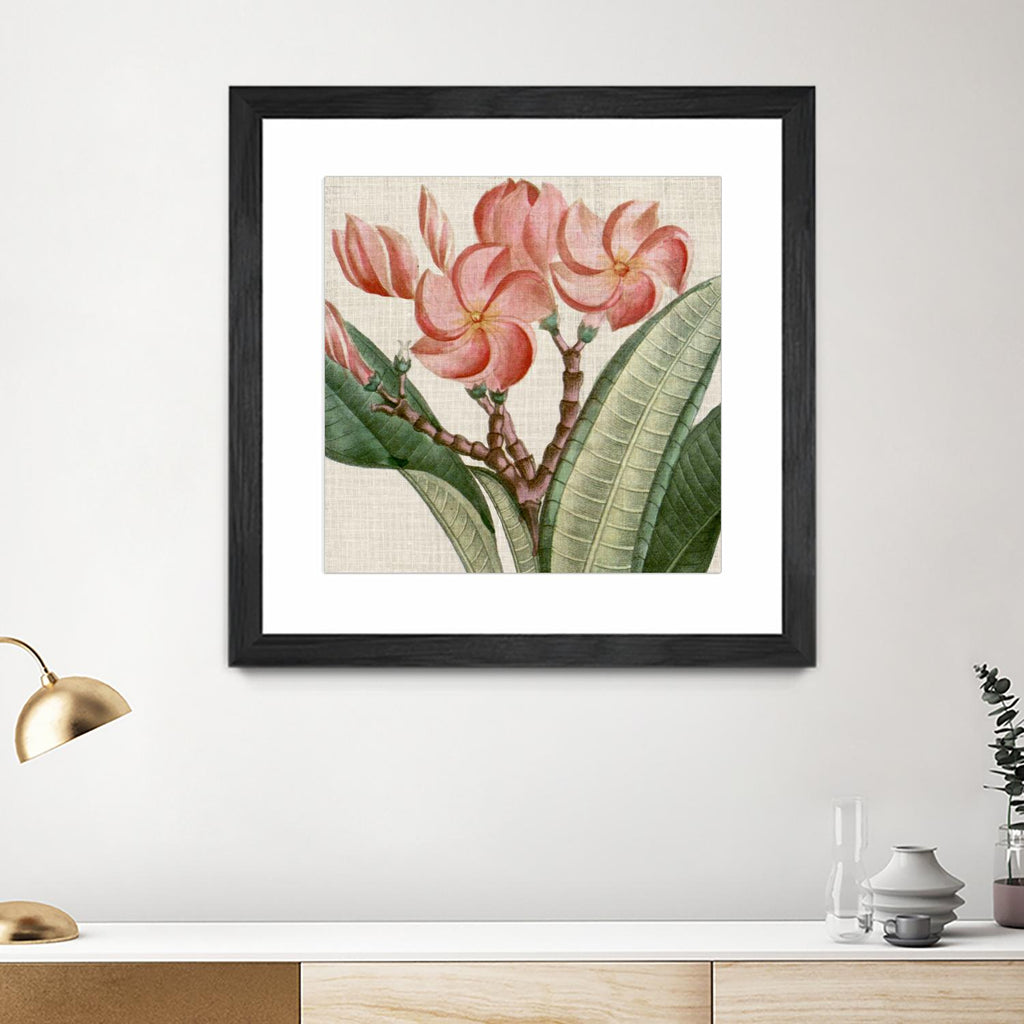 Turpin Tropicals VII recadré par Vision Studio sur GIANT ART - rose botanique et floral nature