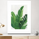 Pura Vida II by Grace Popp on GIANT ART - green coastal & tropical nature