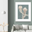 Jellyfish Dance I by Grace Popp on GIANT ART - pink coastal & tropical abstract