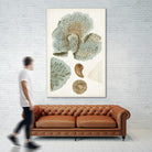 Coastal Curiosity V by Unknown on GIANT ART - green coastal & tropical abstract 