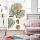 Coastal Curiosity V by Unknown on GIANT ART - green coastal & tropical abstract 