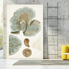 Coastal Curiosity V by Unknown on GIANT ART - green coastal & tropical abstract 