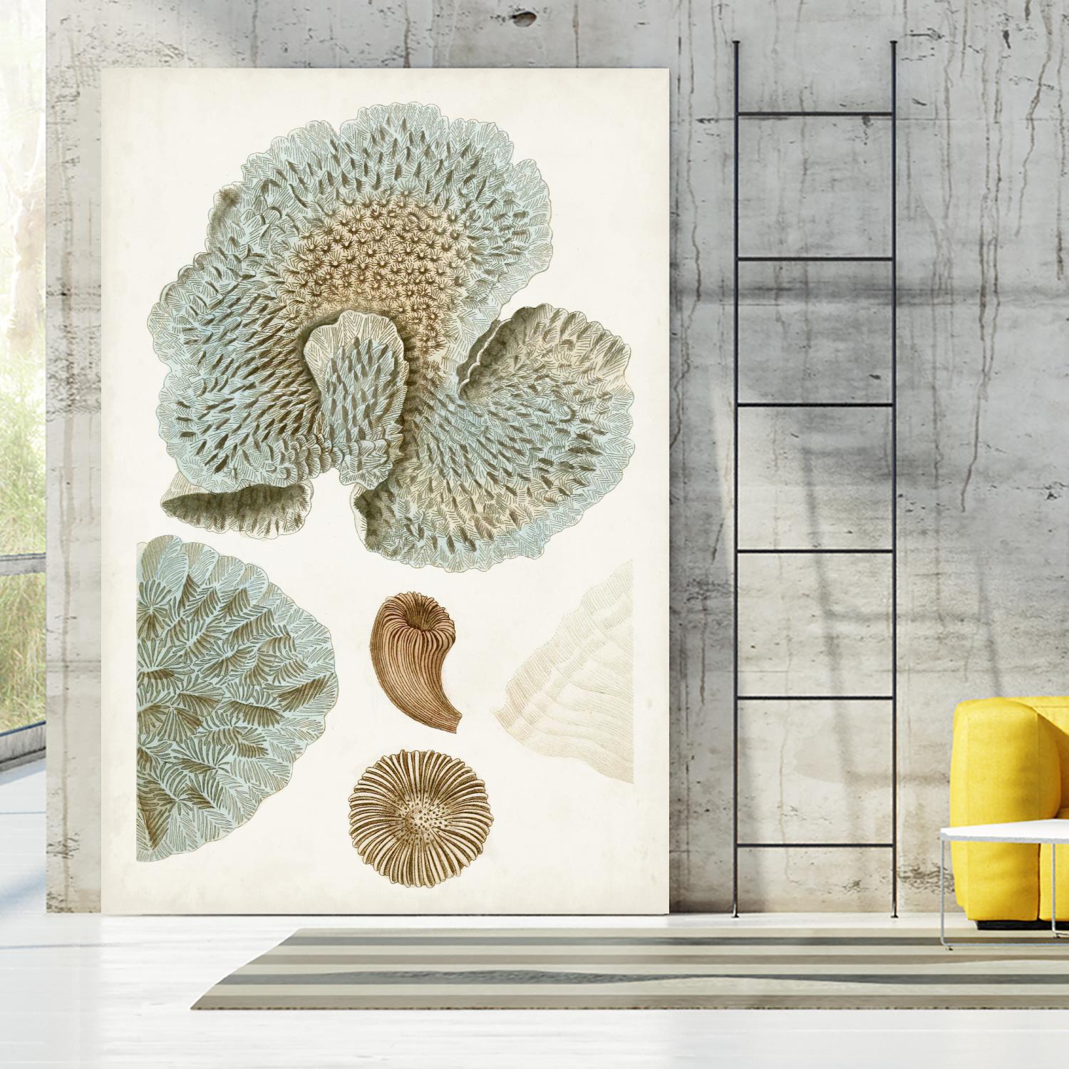 Coastal Curiosity V by Unknown on GIANT ART - green coastal & tropical abstract 