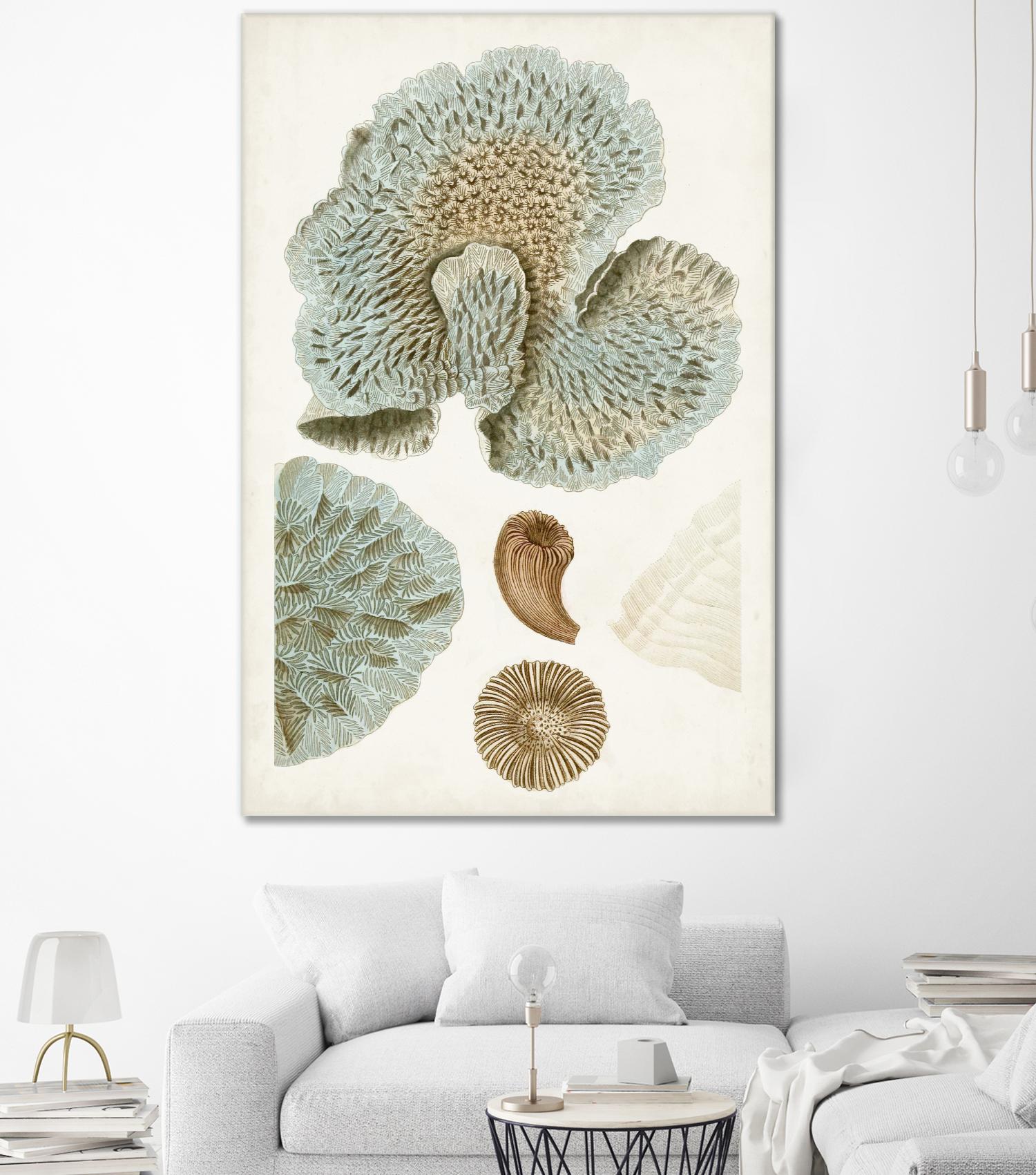 Coastal Curiosity V by Unknown on GIANT ART - green coastal & tropical abstract 