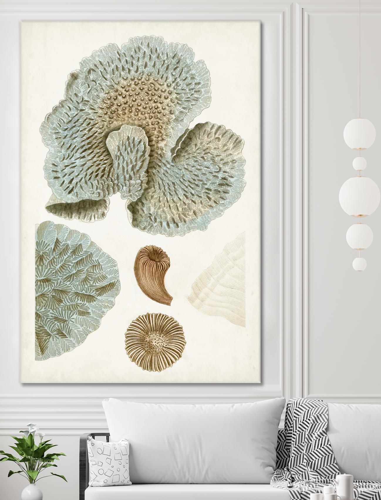 Coastal Curiosity V by Unknown on GIANT ART - green coastal & tropical abstract 