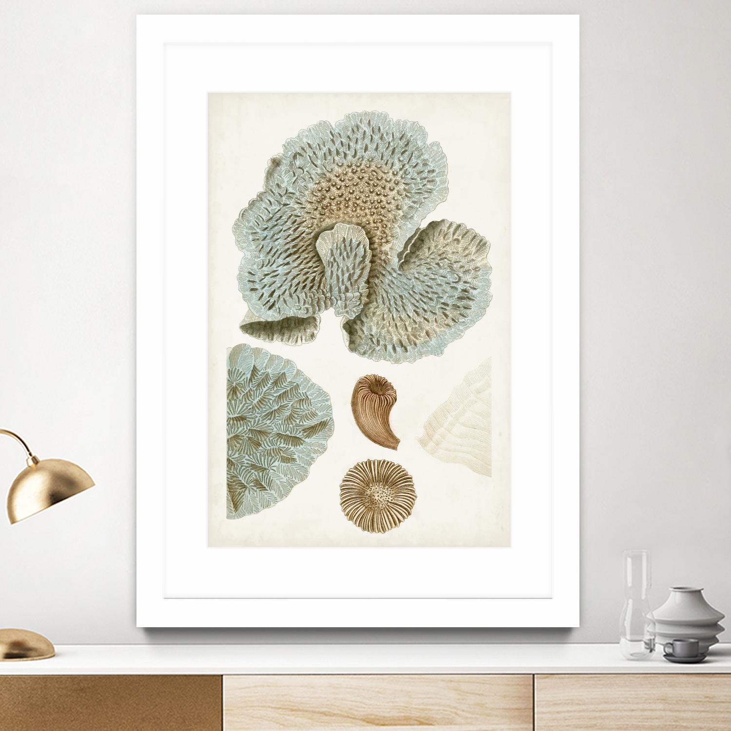 Coastal Curiosity V by Unknown on GIANT ART - green coastal & tropical abstract 