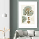 Coastal Curiosity V by Unknown on GIANT ART - green coastal & tropical abstract 