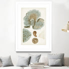 Coastal Curiosity V by Unknown on GIANT ART - green coastal & tropical abstract 