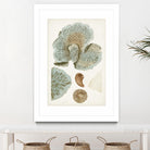 Coastal Curiosity V by Unknown on GIANT ART - green coastal & tropical abstract 