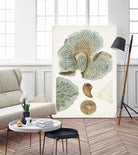 Coastal Curiosity V by Unknown on GIANT ART - green coastal & tropical abstract 