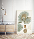 Coastal Curiosity V by Unknown on GIANT ART - green coastal & tropical abstract 