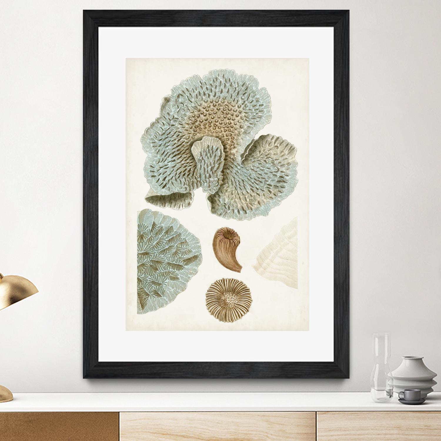 Coastal Curiosity V by Unknown on GIANT ART - green coastal & tropical abstract 