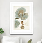 Coastal Curiosity V by Unknown on GIANT ART - green coastal & tropical abstract 