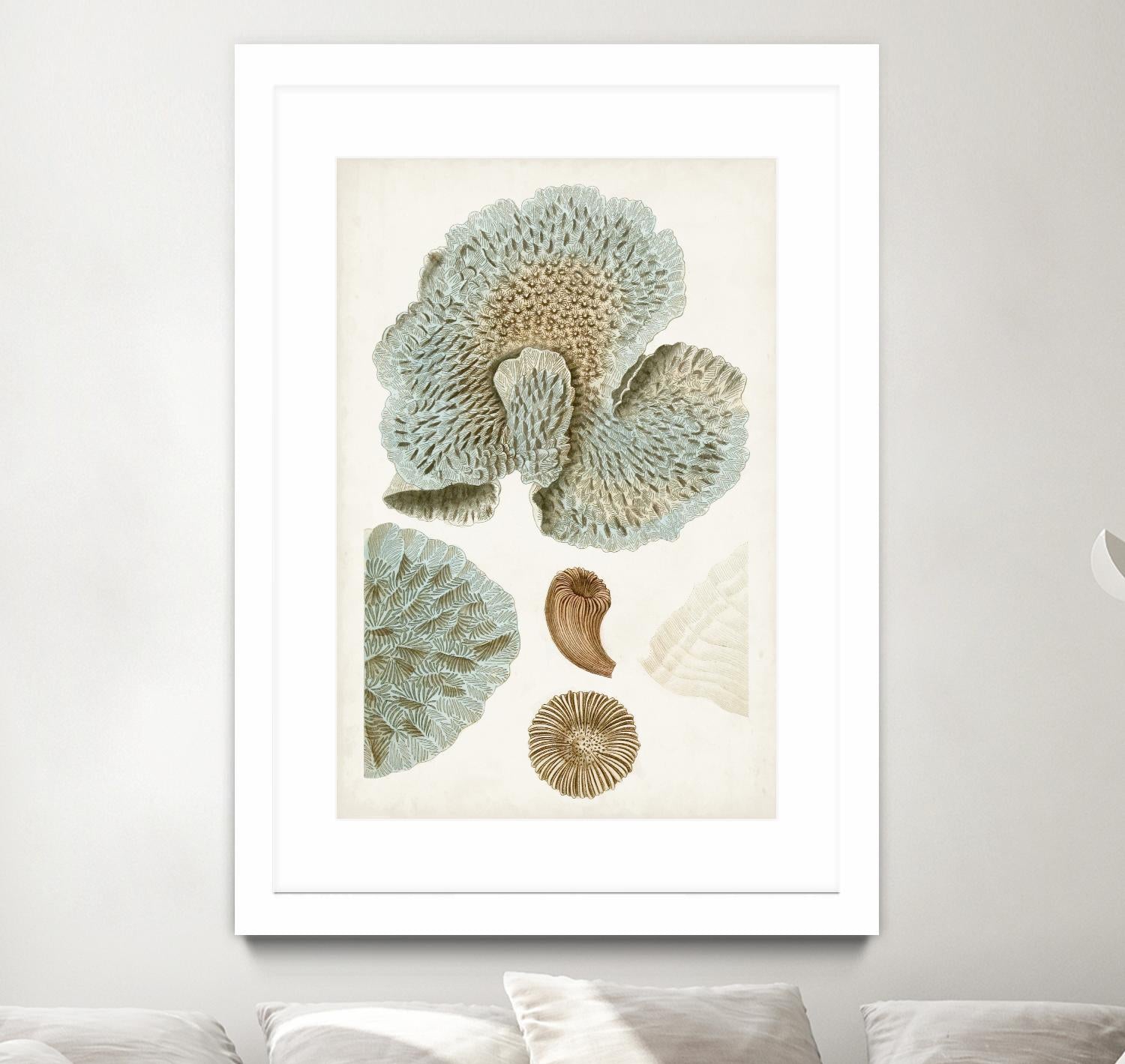 Coastal Curiosity V by Unknown on GIANT ART - green coastal & tropical abstract 