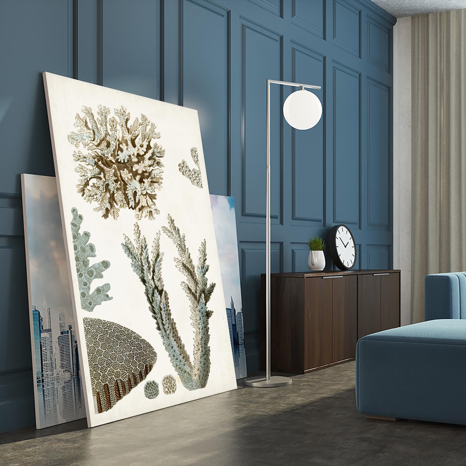 Coastal Curiosity VI by Unknown on GIANT ART - beige coastal & tropical sea