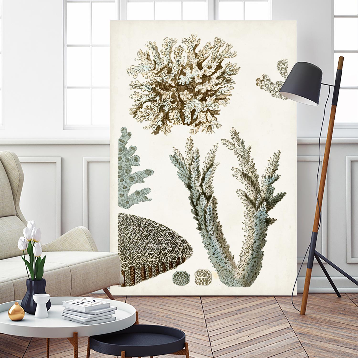 Coastal Curiosity VI by Unknown on GIANT ART - beige coastal & tropical sea