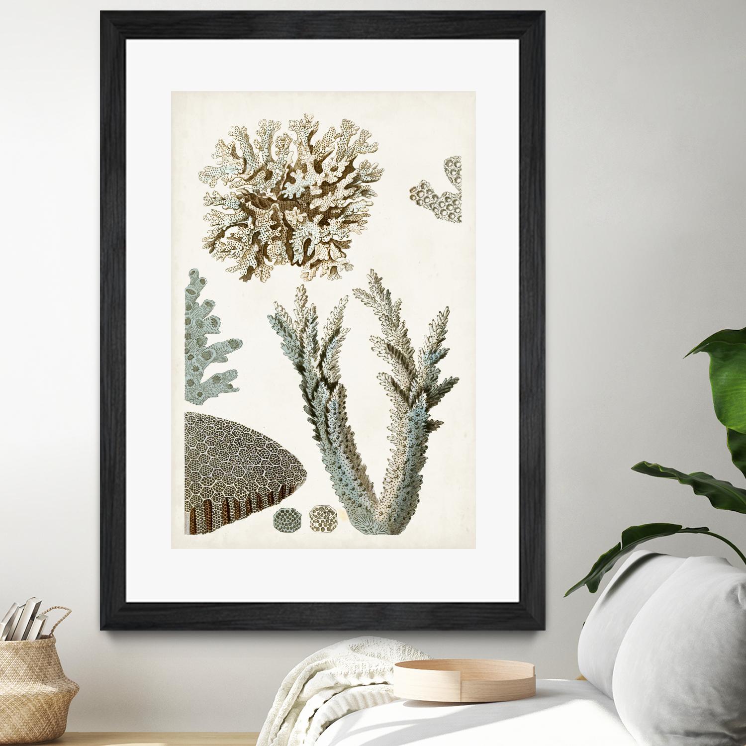 Coastal Curiosity VI by Unknown on GIANT ART - beige coastal & tropical sea