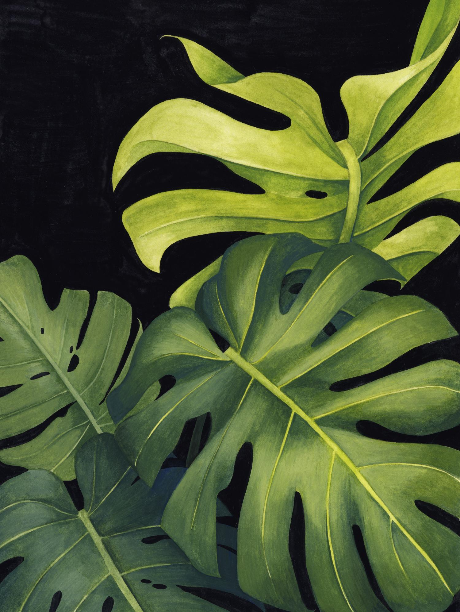 Monstres de nuit I par Grace Popp sur GIANT ART - vert, abstrait, côtier et tropical 