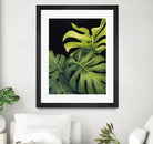 Night Monsteras I by Grace Popp on GIANT ART - green  coastal & tropical abstract 