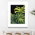 Night Monsteras I by Grace Popp on GIANT ART - green  coastal & tropical abstract 