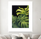 Night Monsteras I by Grace Popp on GIANT ART - green  coastal & tropical abstract 