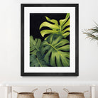 Night Monsteras I by Grace Popp on GIANT ART - green  coastal & tropical abstract 