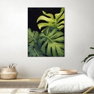 Night Monsteras I by Grace Popp on GIANT ART - green  coastal & tropical abstract 