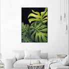 Night Monsteras I by Grace Popp on GIANT ART - green  coastal & tropical abstract 