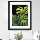 Night Monsteras I by Grace Popp on GIANT ART - green  coastal & tropical abstract 