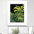 Night Monsteras I by Grace Popp on GIANT ART - green  coastal & tropical abstract 