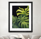 Night Monsteras I by Grace Popp on GIANT ART - green  coastal & tropical abstract 