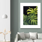Night Monsteras I by Grace Popp on GIANT ART - green  coastal & tropical abstract 