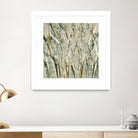 Birches V by Sharon Gordon on GIANT ART - black abstract