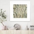 Birches V by Sharon Gordon on GIANT ART - black abstract