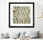 Birches V by Sharon Gordon on GIANT ART - black abstract