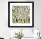 Birches V by Sharon Gordon on GIANT ART - black abstract