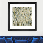 Birches V by Sharon Gordon on GIANT ART - black abstract