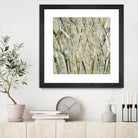 Birches V by Sharon Gordon on GIANT ART - black abstract
