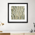 Birches V by Sharon Gordon on GIANT ART - black abstract