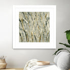 Birches V by Sharon Gordon on GIANT ART - black abstract